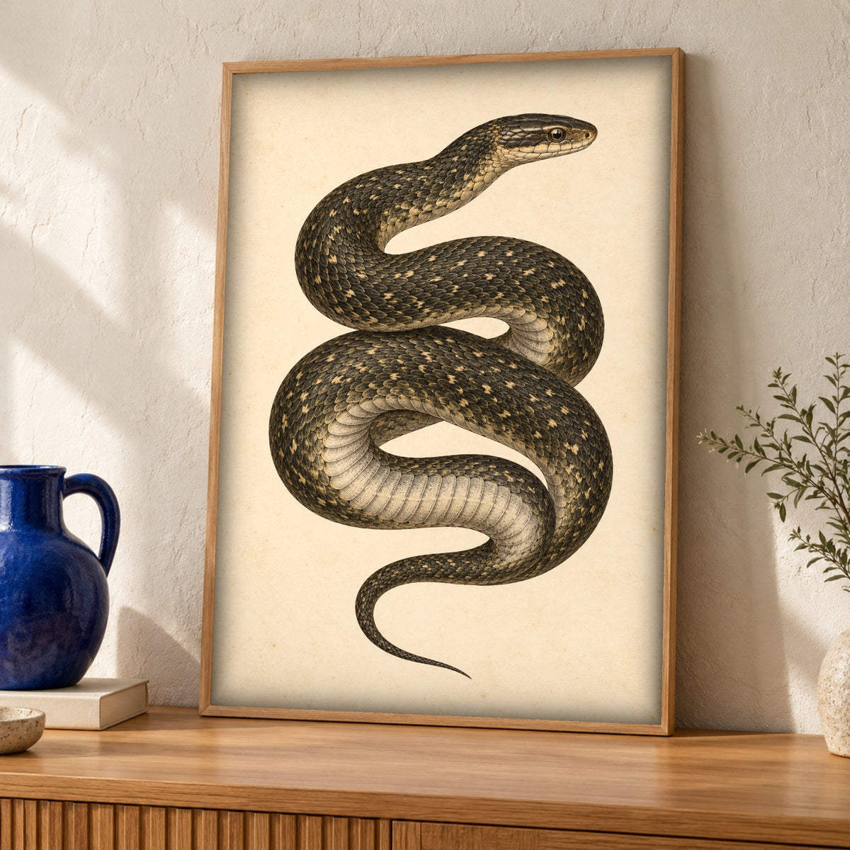 Snake wall art — Natural History Illustration — Framed room mockup