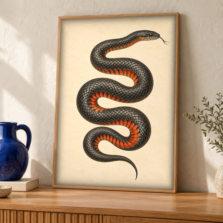 Reptile wall art, Red-bellied black snake, Natural history print